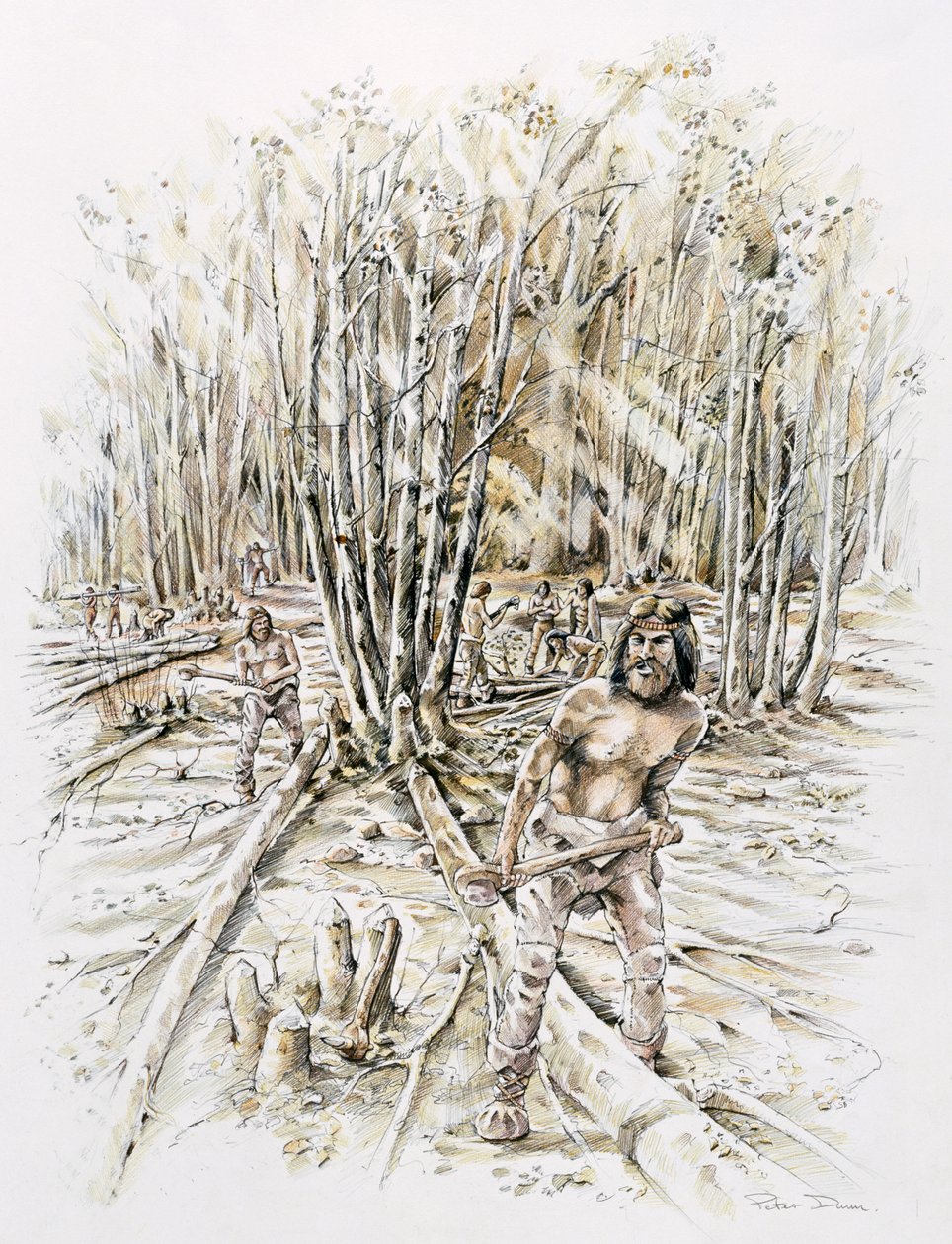 A kovakő koptatás felhasználása, Őskori, c1990-2010 alkotó: Peter Dunn