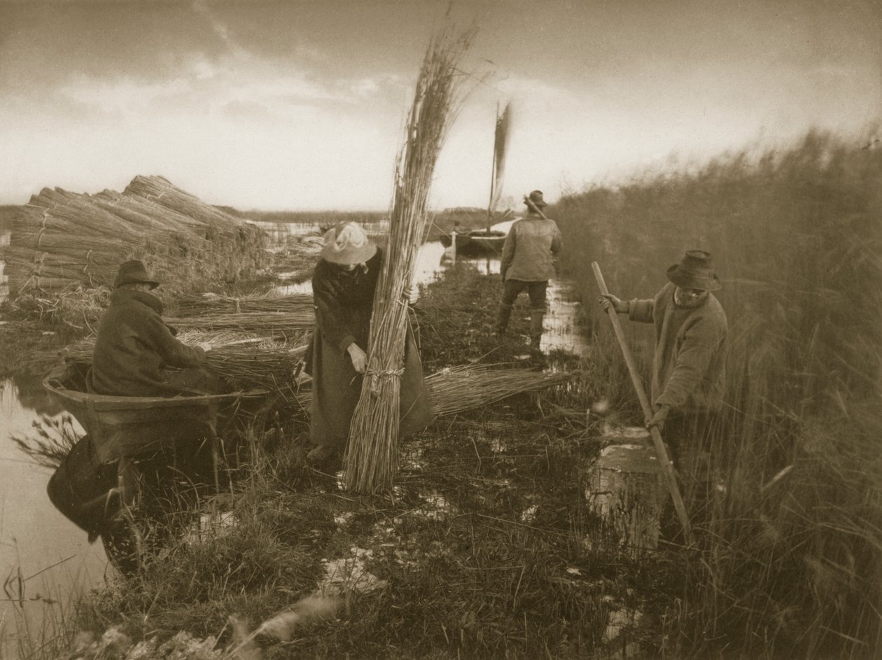 A nádszüret idején, Élet és táj a Norfolk Broads-on, 1886 körül alkotó: Peter Emerson und Thomas Goodall