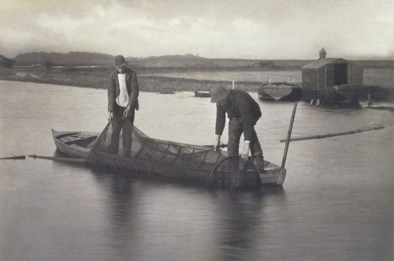 Az angolnaháló felvétele, 1886 körül alkotó: Peter Emerson und Thomas Goodall