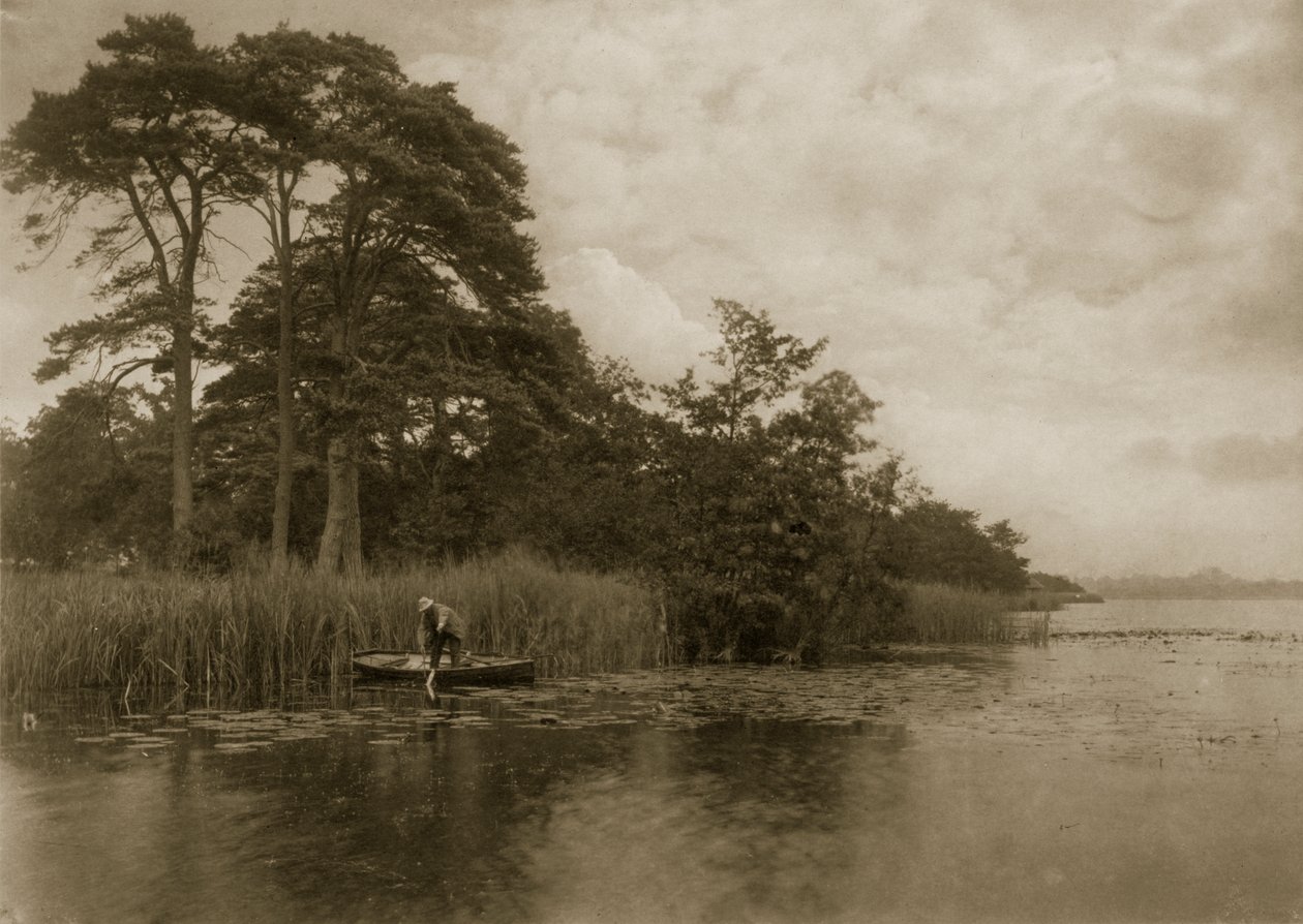 A csuka kísértete, 1886 körül alkotó: Peter Emerson und Thomas Goodall