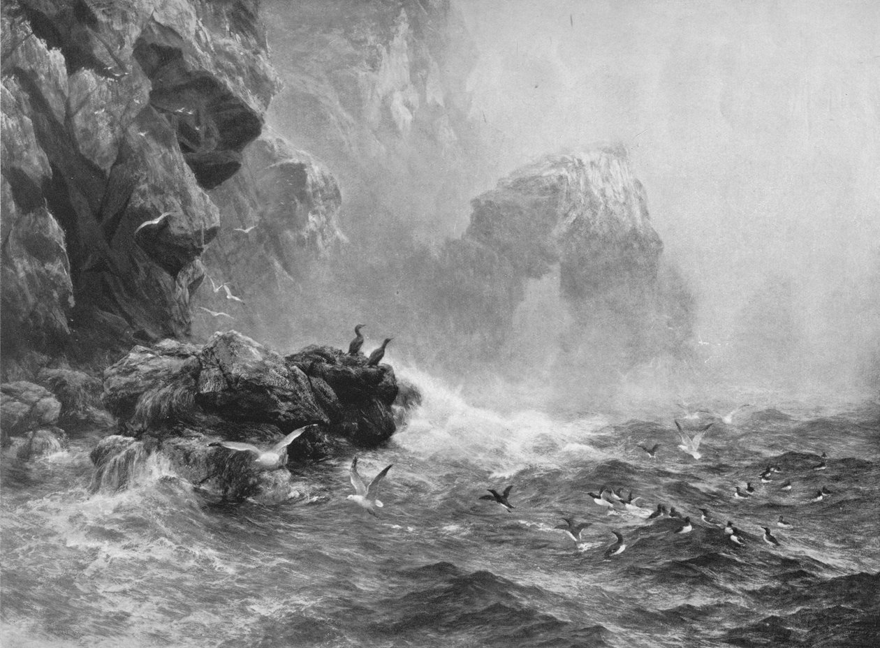 Ahol semmi mást nem hallanak, csak a lendületes hullámot és a tengeri madarak sírását, c1880, 1912 alkotó: Peter Graham