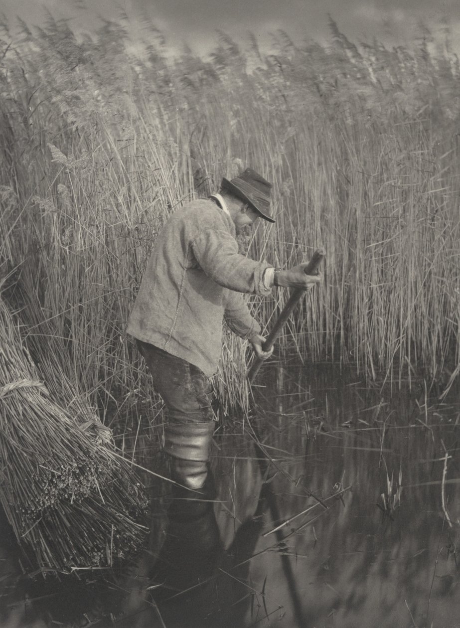 A Reed-cutter at Work, 1886. Alkotók: Dr. Peter Henry Emerson, Thomas Frederick Goodall. alkotó: Peter Henry Emerson, Thomas Frederick Goodall