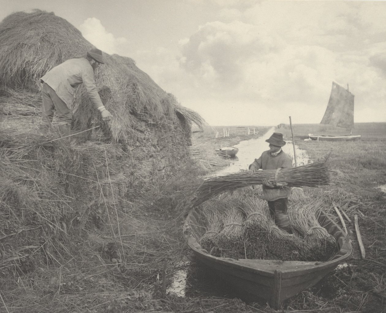 Ricking the Reed, 1886. Alkotók: Dr. Peter Henry Emerson, Thomas Frederick Goodall. alkotó: Peter Henry Emerson, Thomas Frederick Goodall
