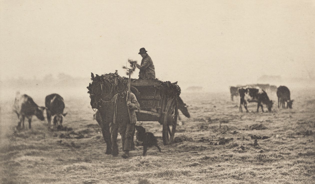 Egy fagyos reggel, 1890-1891, nyomtatva 1893. alkotó: Peter Henry Emerson