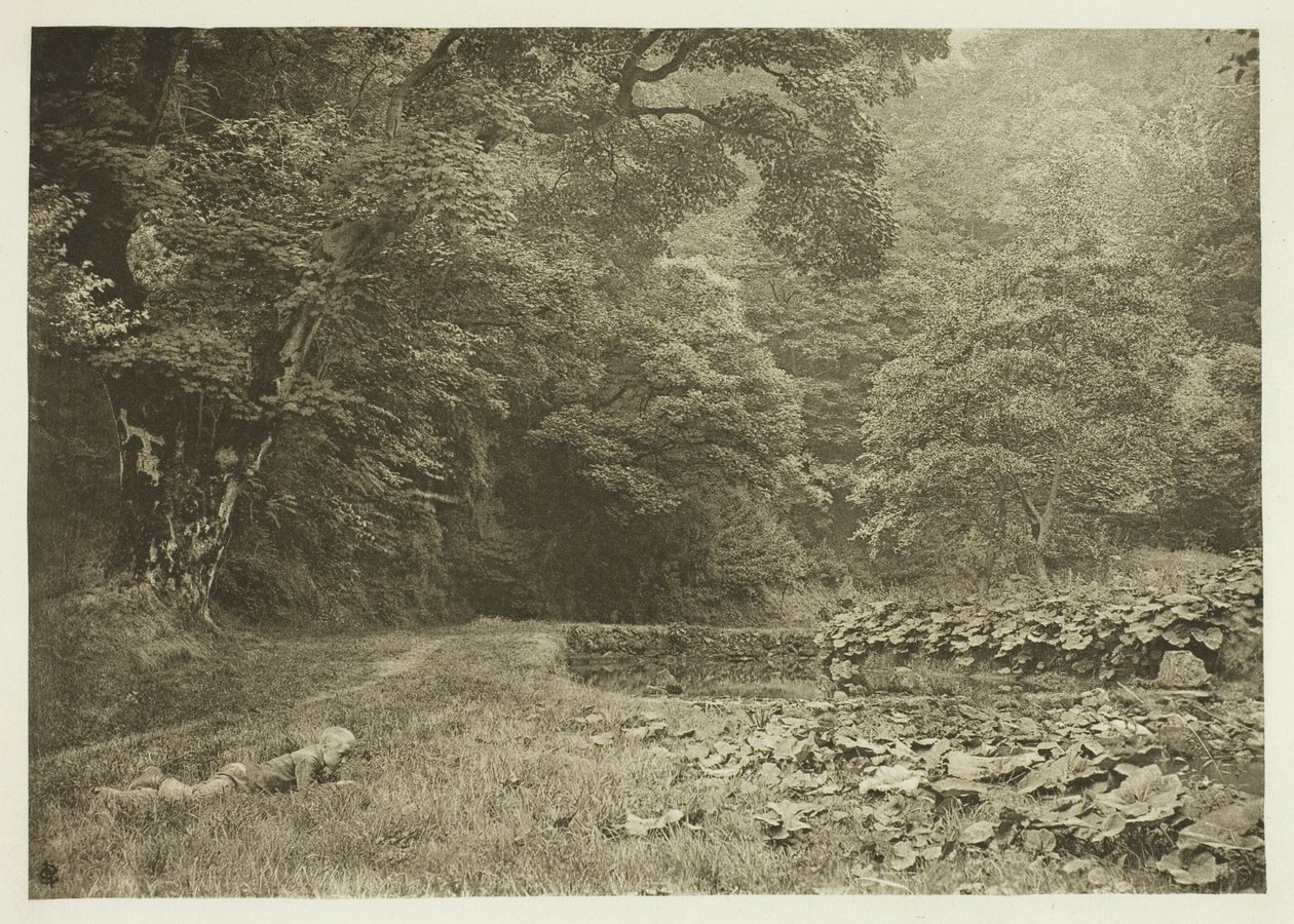 Egy csendes zug Beresford Dale-ben alkotó: Peter Henry Emerson