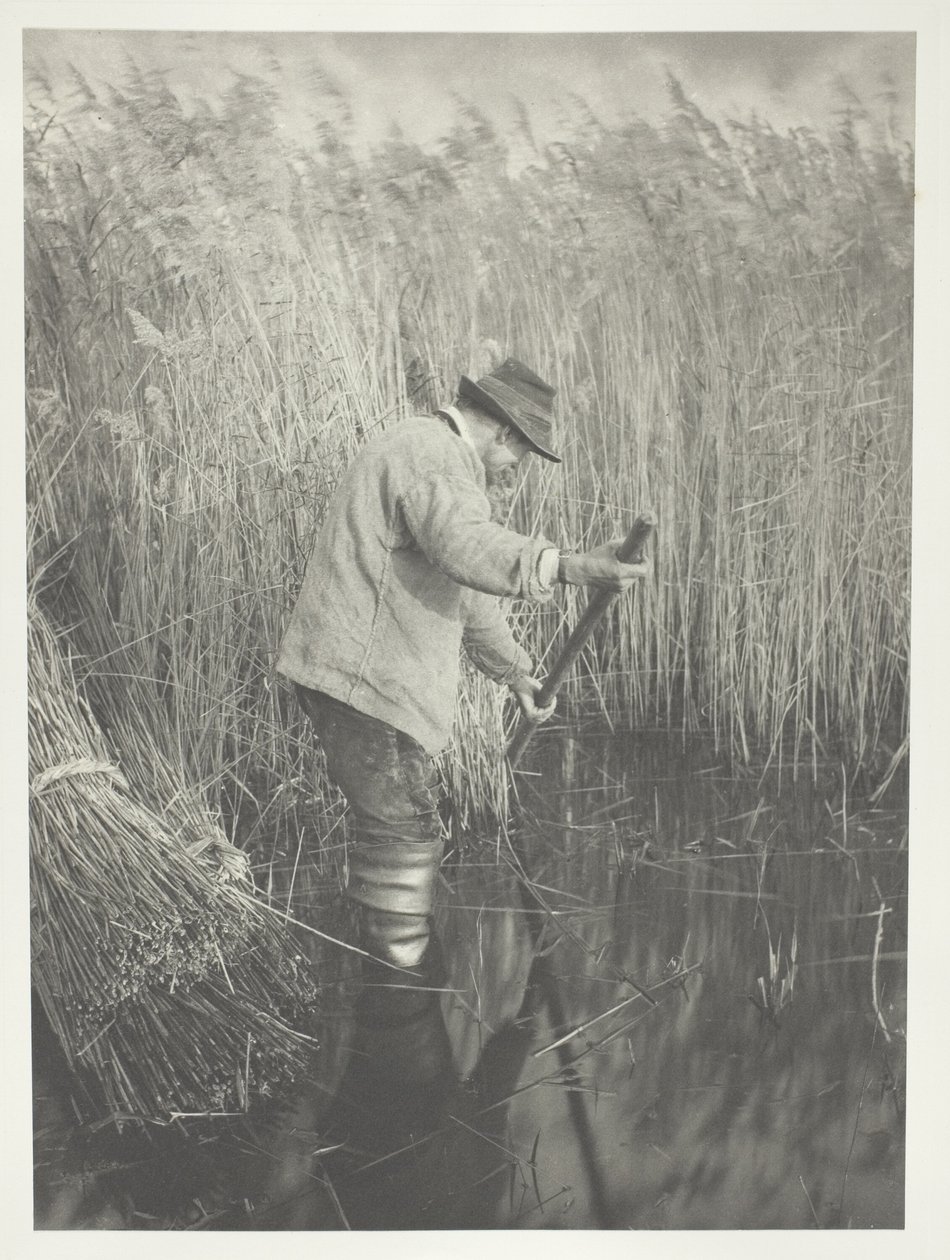 Egy nádvágó munkában alkotó: Peter Henry Emerson