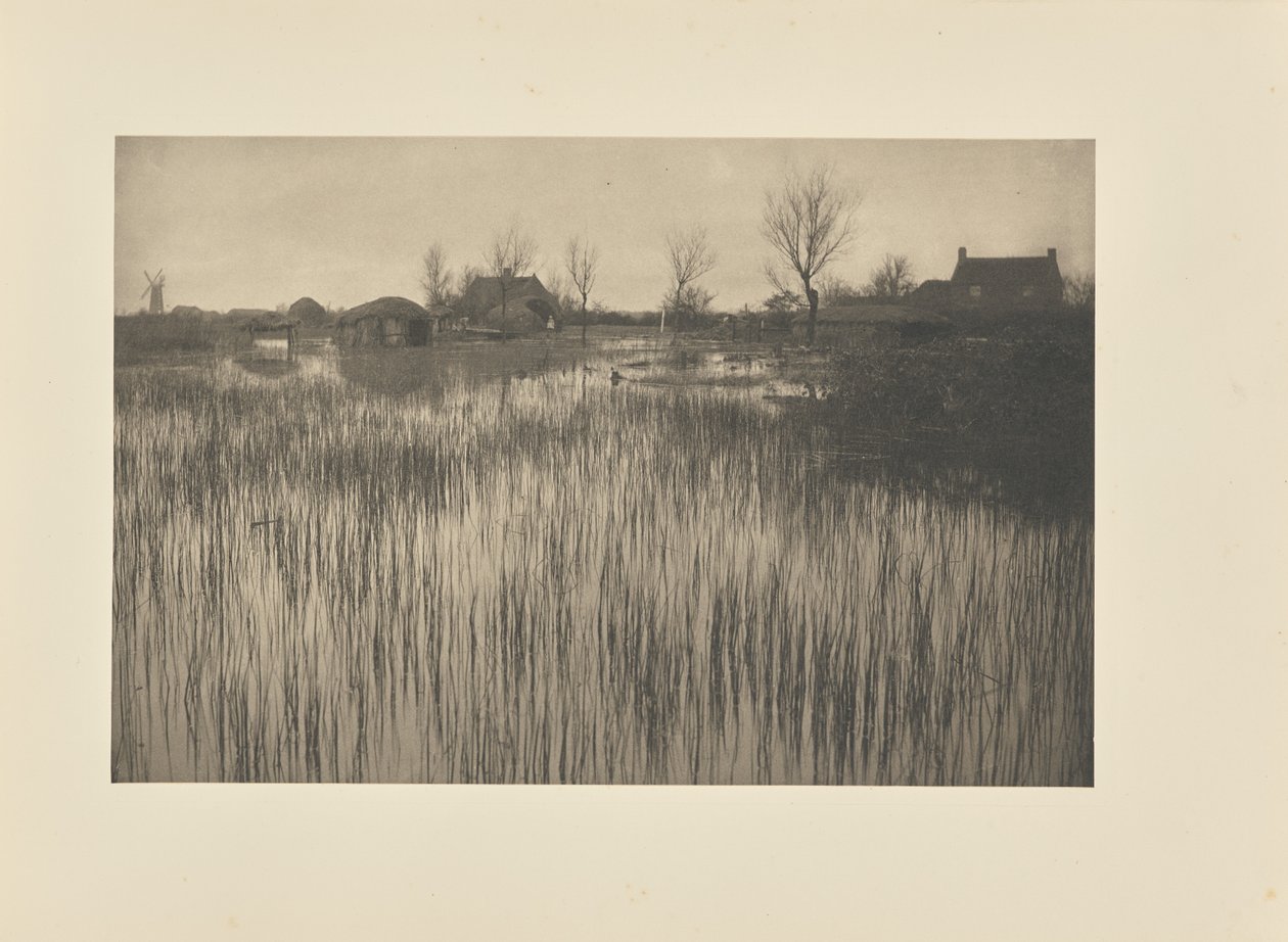 A Rushy Shore alkotó: Peter Henry Emerson