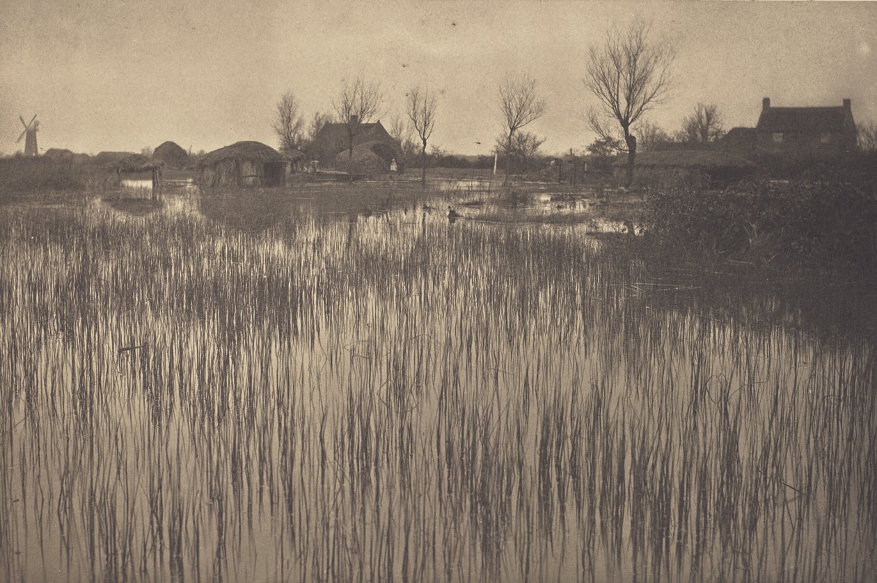 A Rushy Shore alkotó: Peter Henry Emerson
