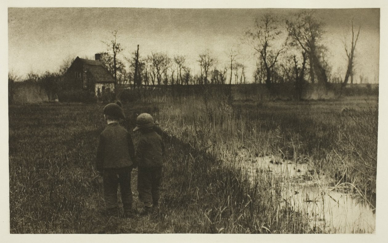 Varangy az ösvényen: kora tavasz Norfolkban alkotó: Peter Henry Emerson