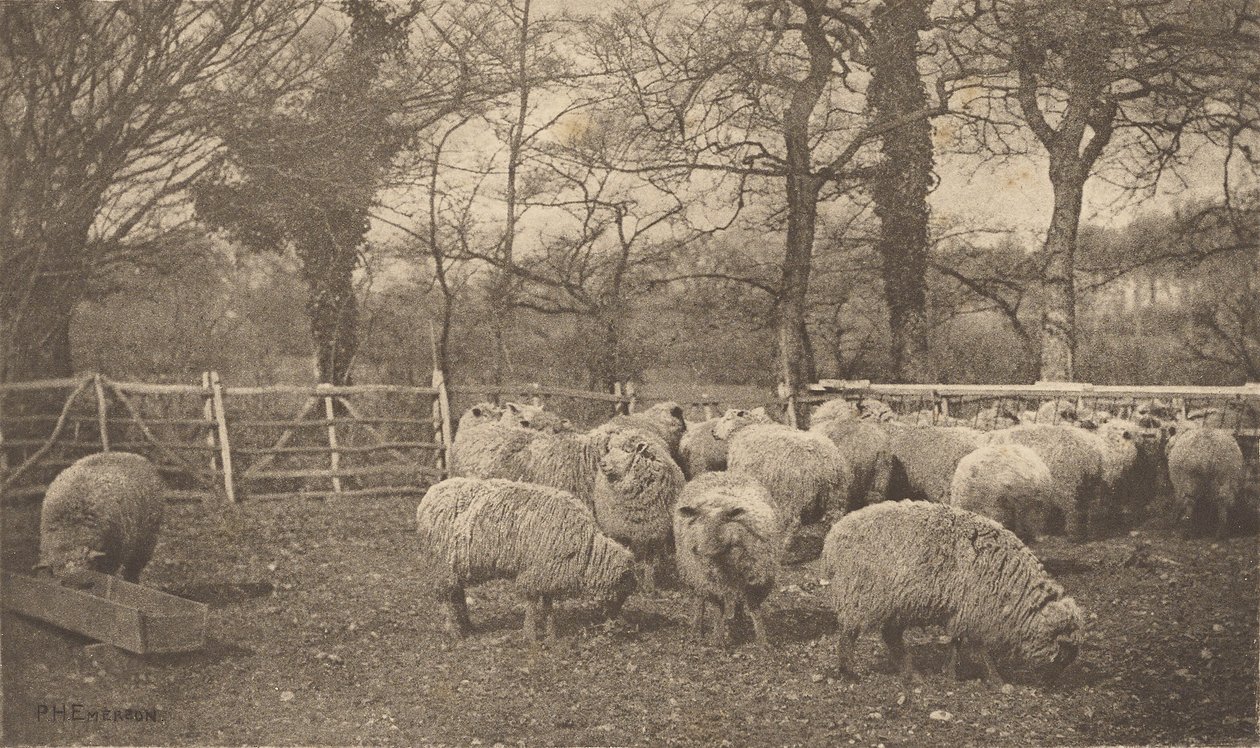 Őszi pásztorjelenet alkotó: Peter Henry Emerson