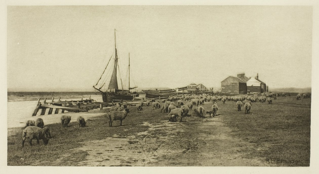 Blackshore, River Blythe (Suffolk) alkotó: Peter Henry Emerson