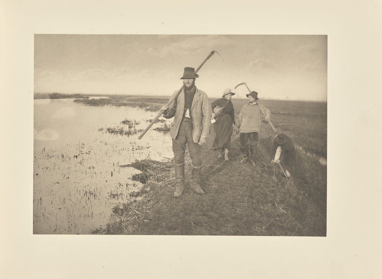 Hazatérés a mocsárból alkotó: Peter Henry Emerson