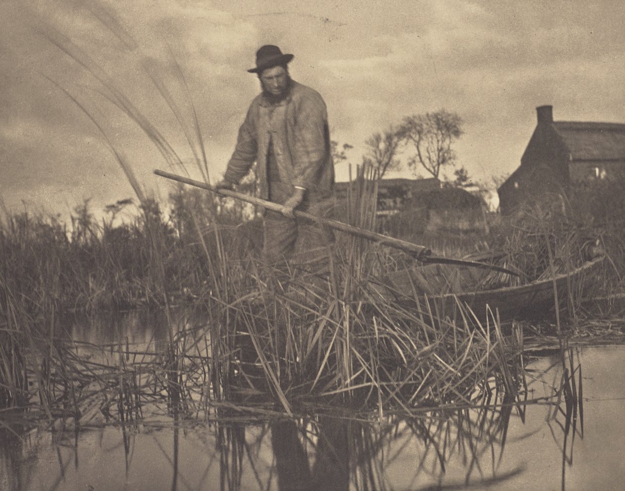 A Gladdon vágása alkotó: Peter Henry Emerson