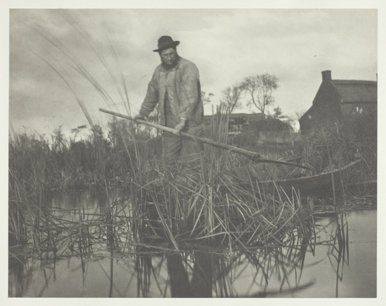 A Gladdon vágása alkotó: Peter Henry Emerson