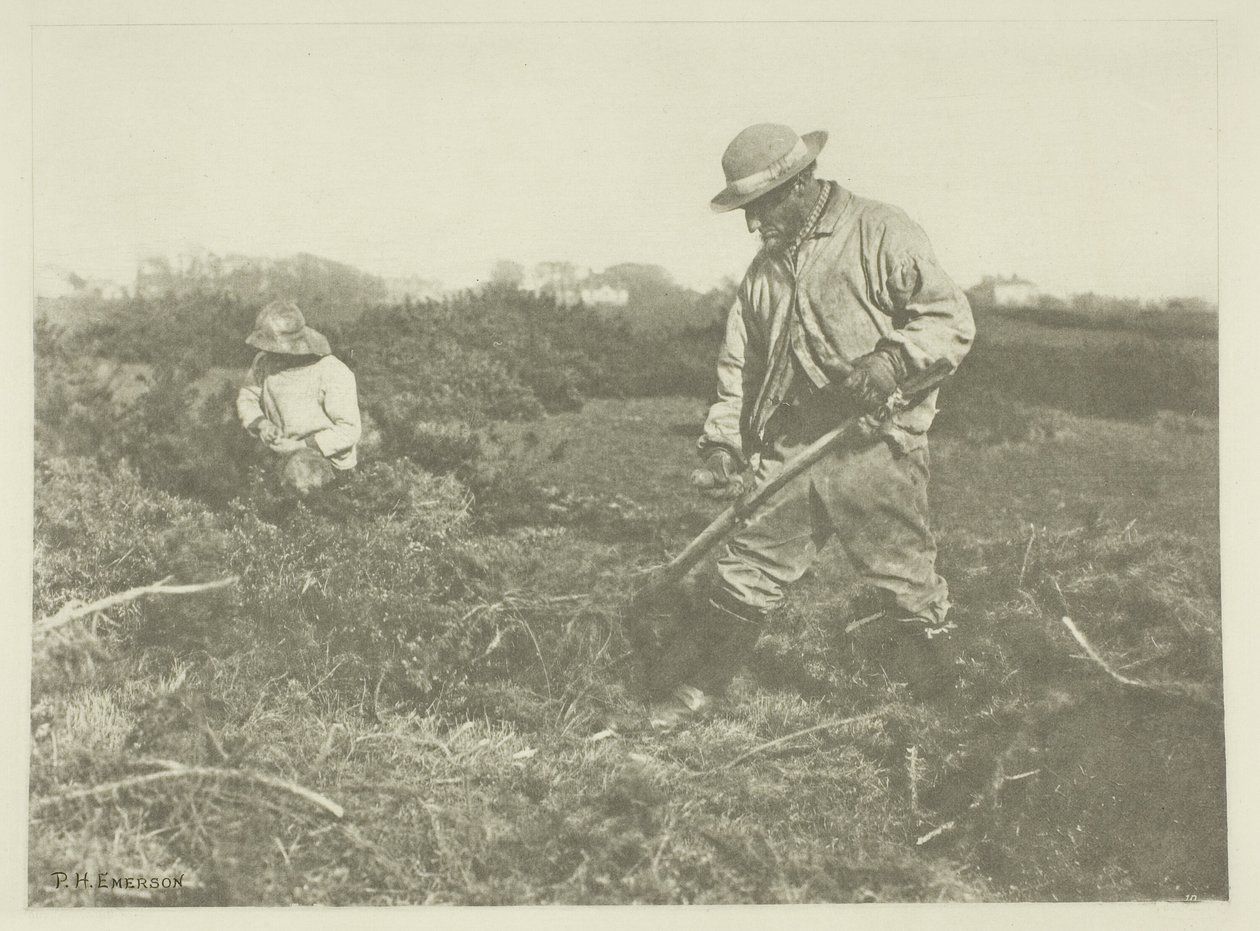 Furze-vágás egy suffolki közönségesen alkotó: Peter Henry Emerson
