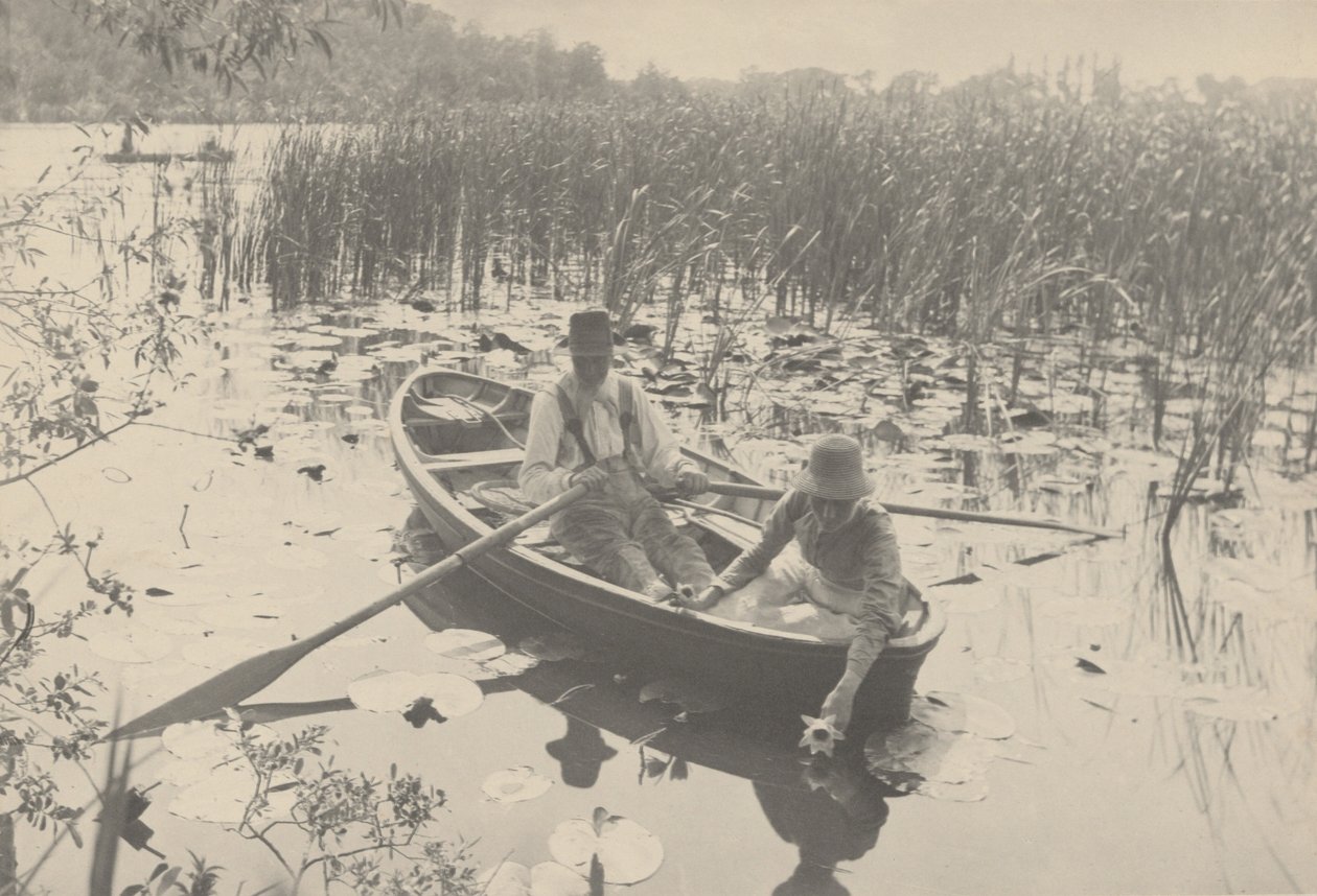 Gyűjtögető tavirózsák,1886 (fotó) alkotó: Peter Henry Emerson