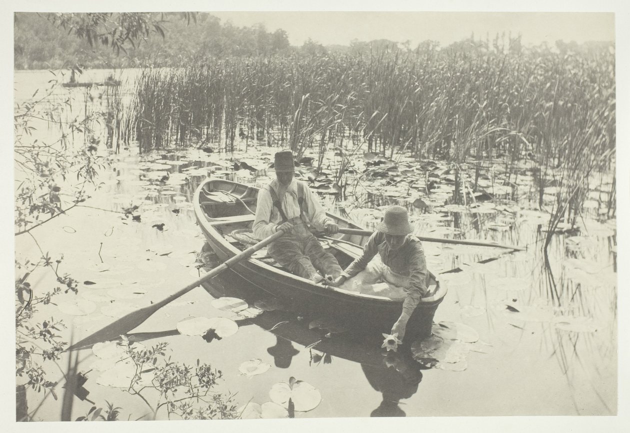 Tavirózsa gyűjtése alkotó: Peter Henry Emerson