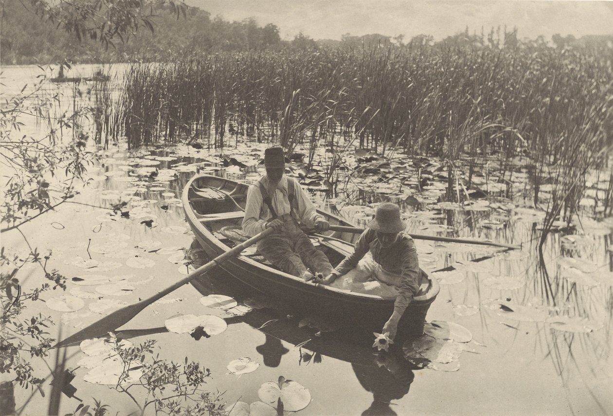 Gyűjtő tavirózsák alkotó: Peter Henry Emerson