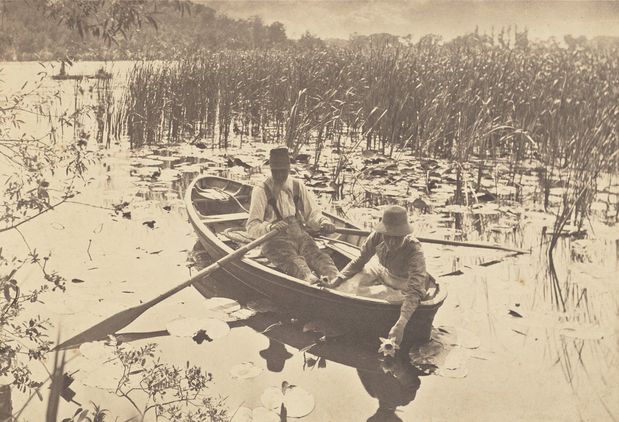 Tavirózsa-gyűjtés alkotó: Peter Henry Emerson