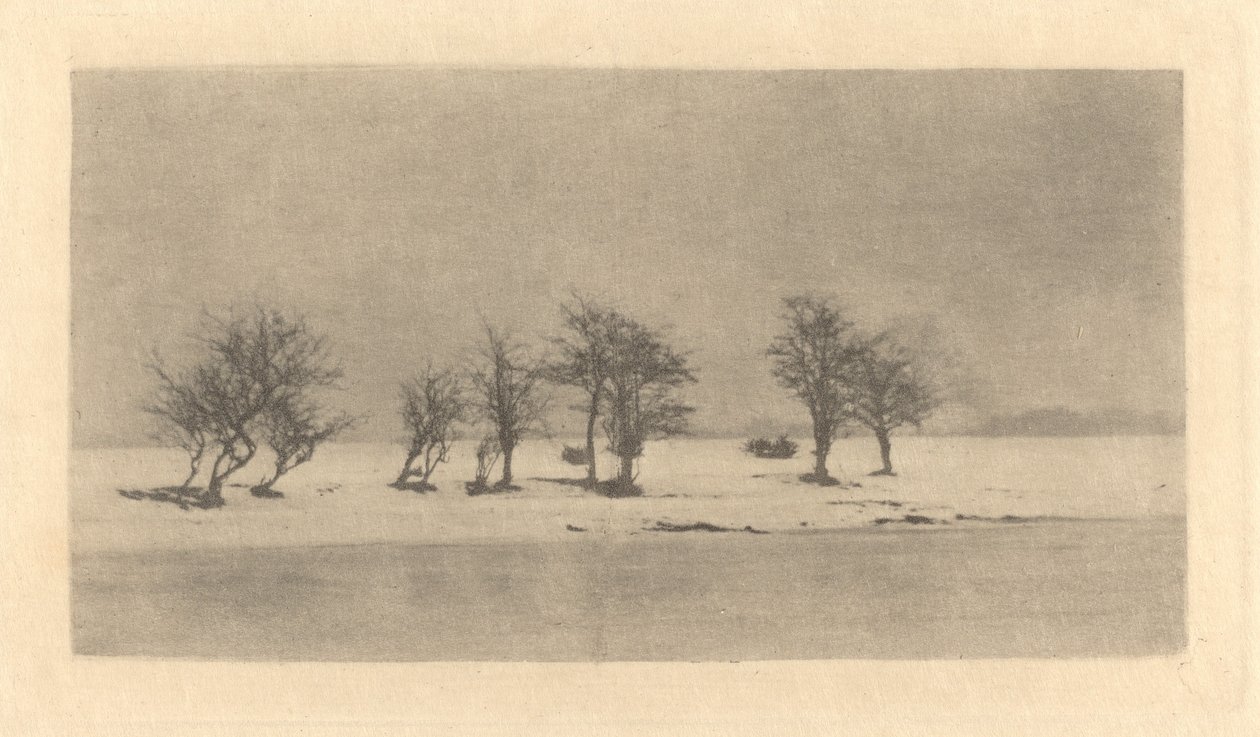 Göcsörtös-tövis fák alkotó: Peter Henry Emerson