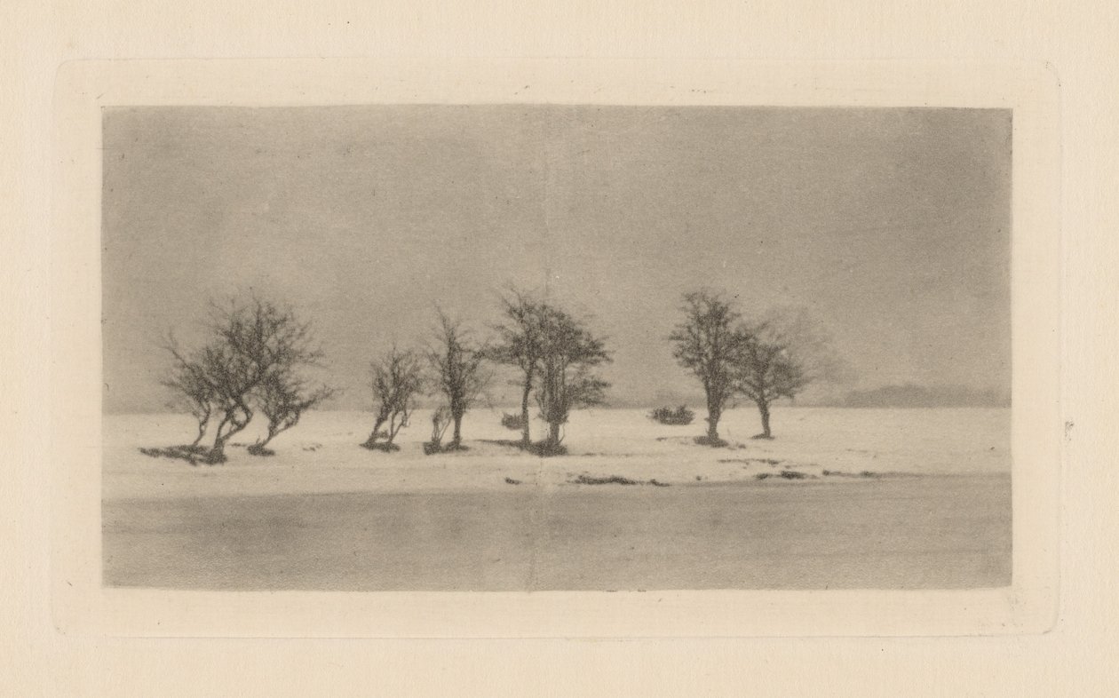 Göcsörtös tövisfák alkotó: Peter Henry Emerson