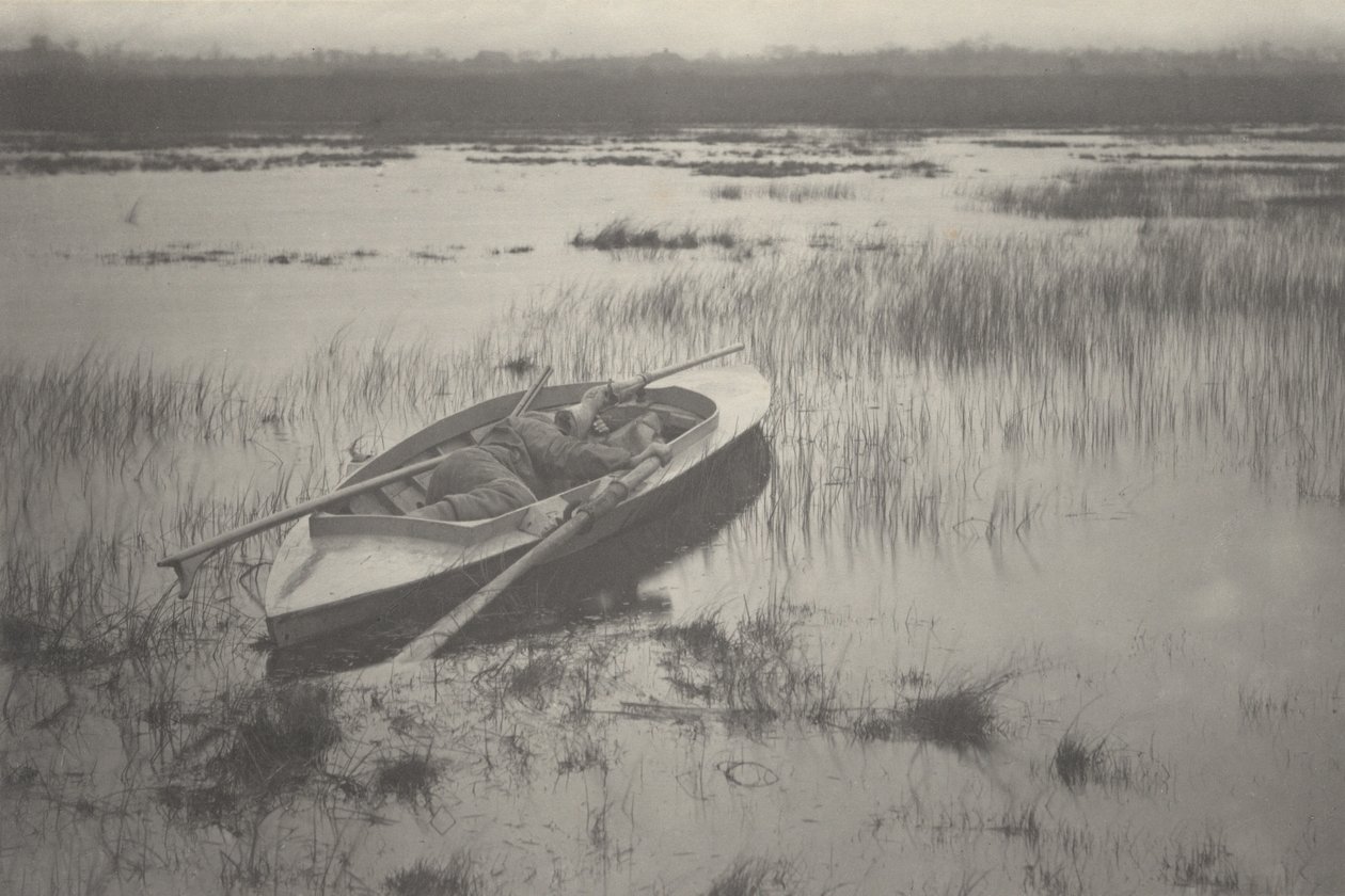 Tüzér dolgozik a szárnyasoknál,1886 (fotó) alkotó: Peter Henry Emerson