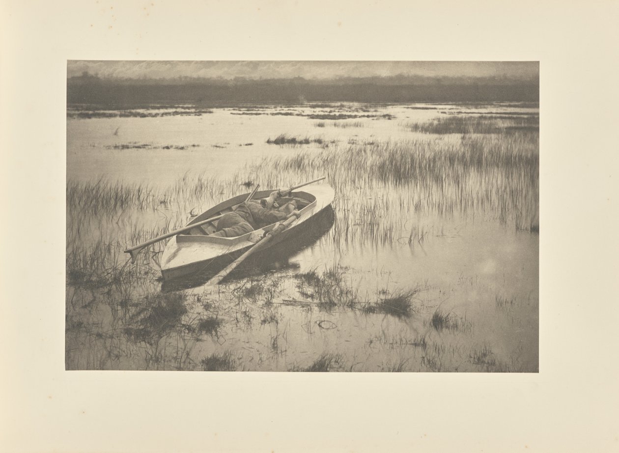 Vadászkutya, amint baromfi felé lopakodik alkotó: Peter Henry Emerson