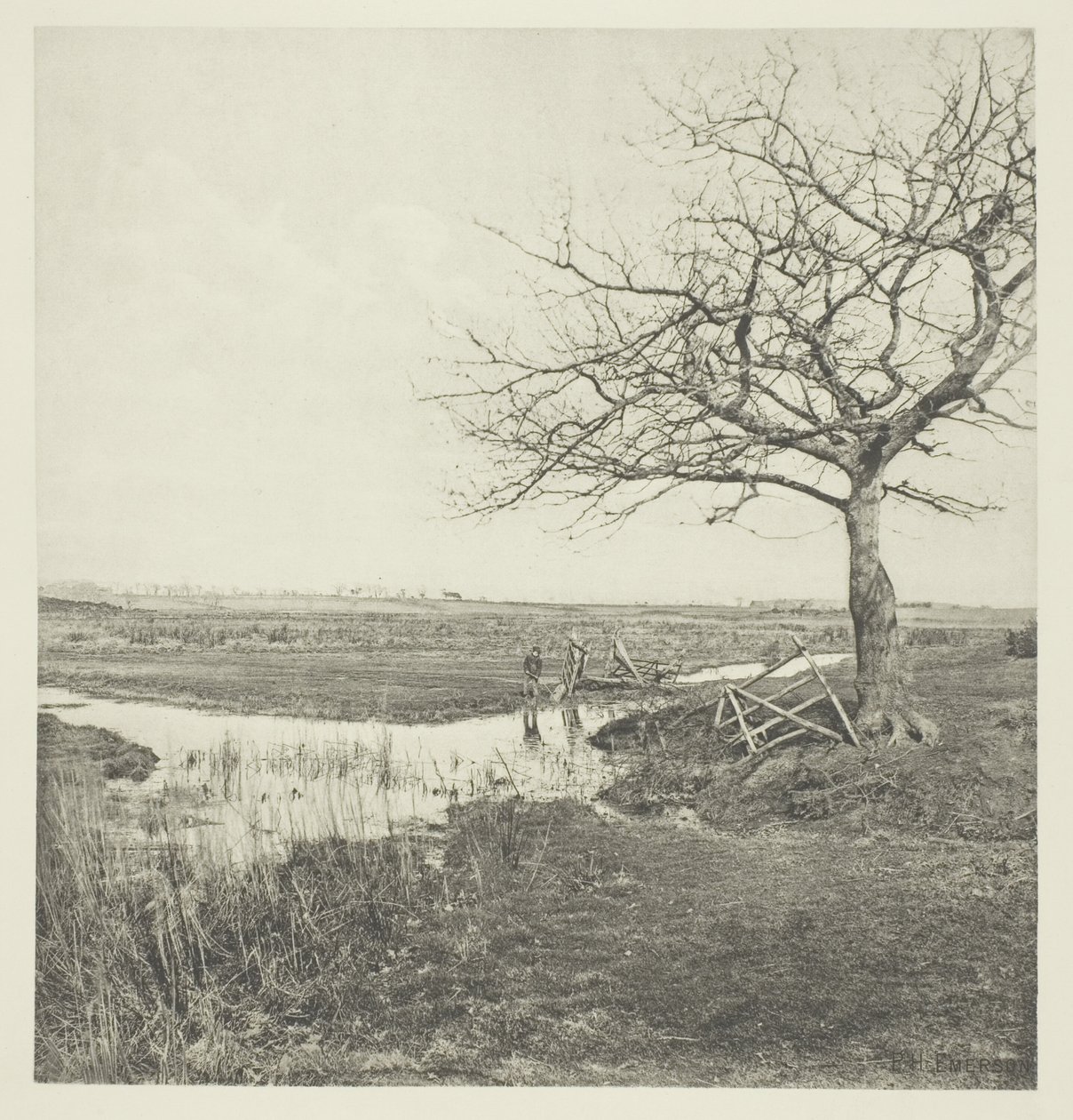 Lombtalan március (Suffolk) alkotó: Peter Henry Emerson