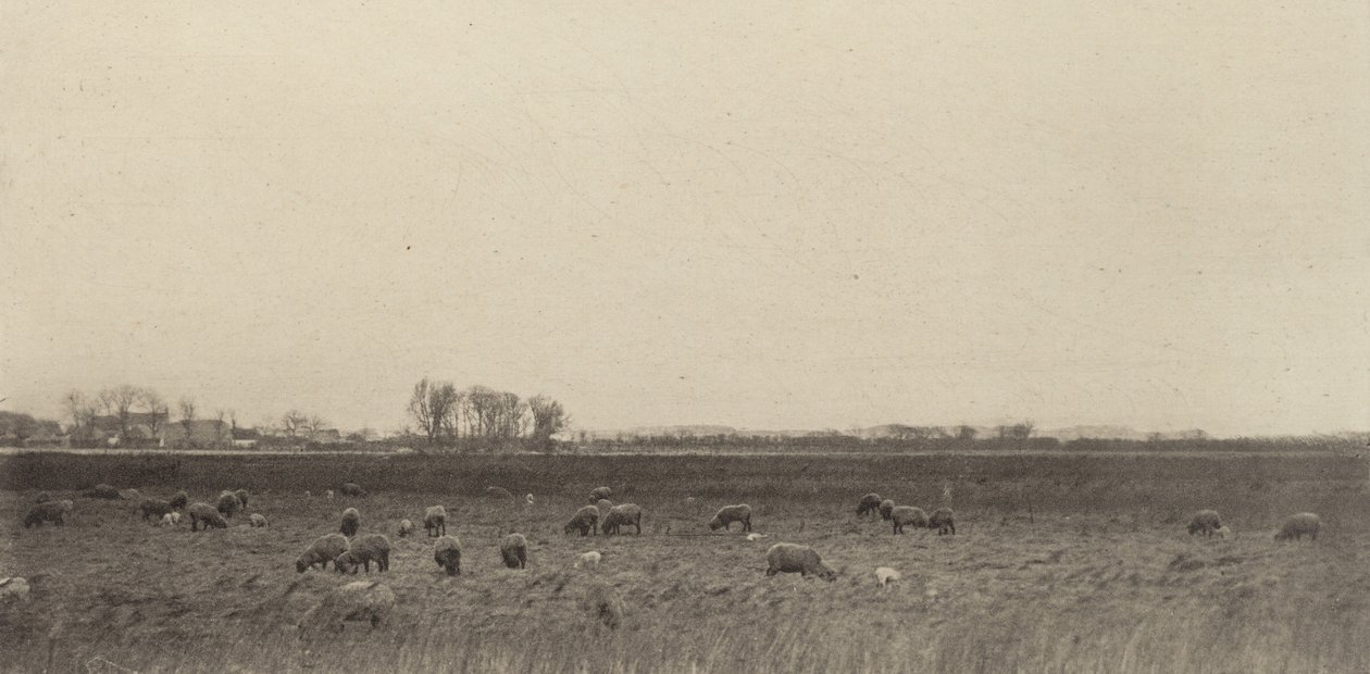 Mocsarak az Északi-tenger mellett, 1890-1891, nyomtatva 1893. alkotó: Peter Henry Emerson