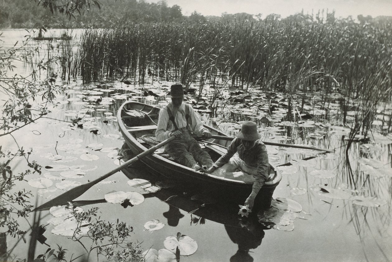 Az „Élet és táj a Norfolk Broadsban” című negyven platinanyomat egyike alkotó: Peter Henry Emerson