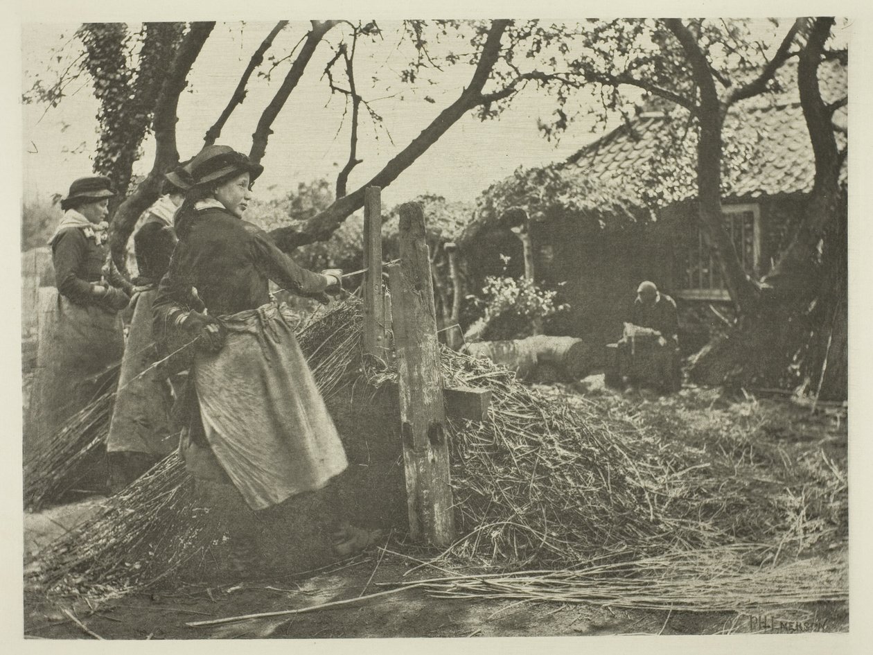 Osier-Peling (Norfolk) alkotó: Peter Henry Emerson