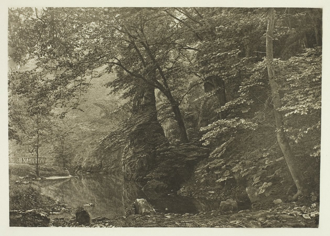 "Pike Pool" (alulról) alkotó: Peter Henry Emerson