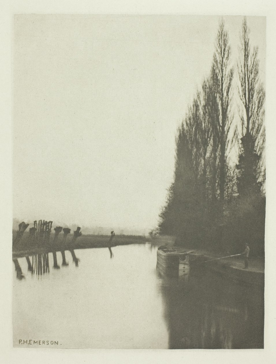 Nyárfák és nyárfák a Leán, Broxbourne közelében alkotó: Peter Henry Emerson