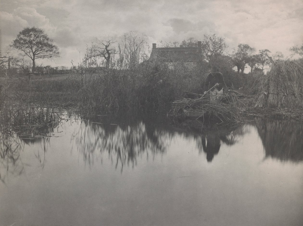 Kiemelve a Gladdont alkotó: Peter Henry Emerson