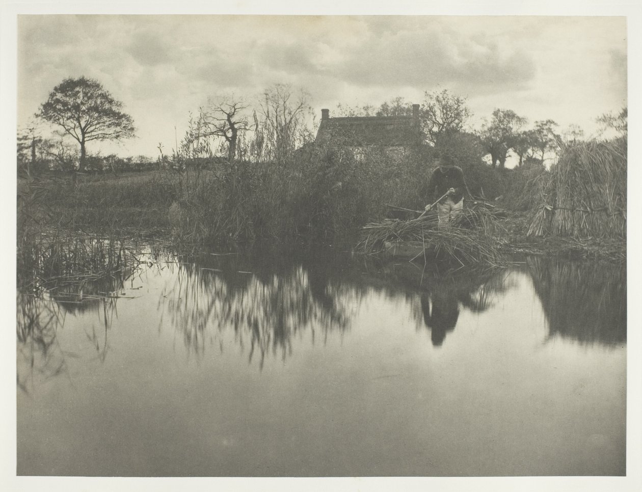A Gladdon mennyiségének meghatározása alkotó: Peter Henry Emerson