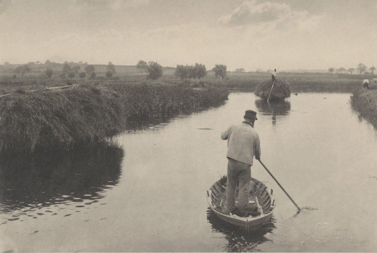 A Marsh Hay számszerűsítése alkotó: Peter Henry Emerson