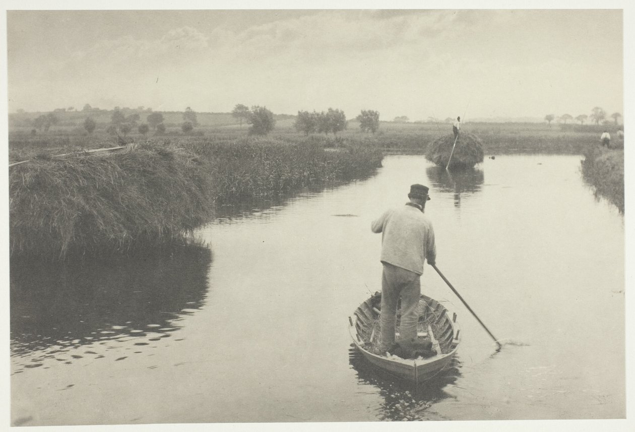 A mocsári széna mennyiségi meghatározása alkotó: Peter Henry Emerson