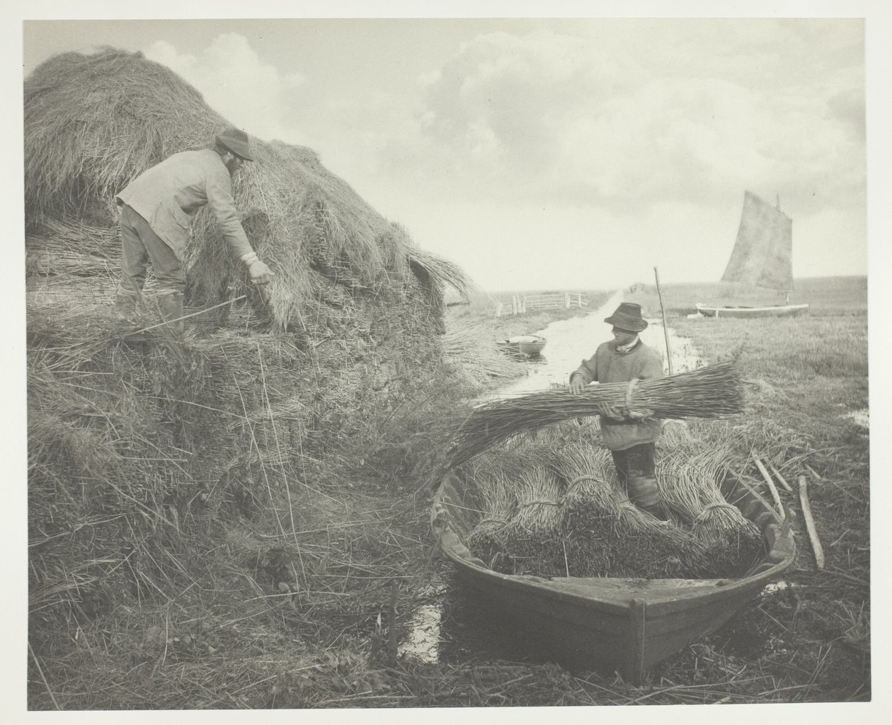 Ricking the Reed alkotó: Peter Henry Emerson