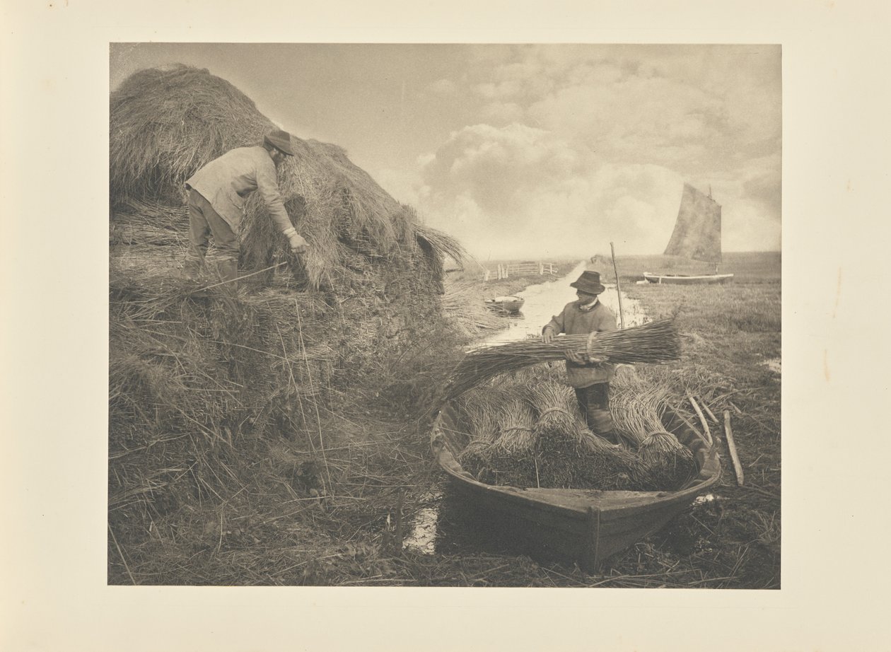 Nád rakásba hordása alkotó: Peter Henry Emerson