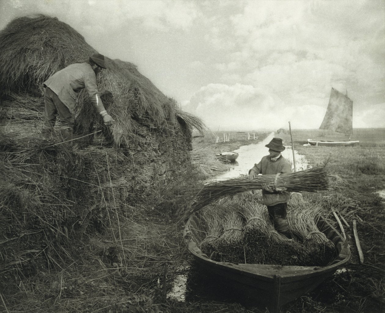 Ricking the Reed, 1885 körül (platina nyomat) alkotó: Peter Henry Emerson