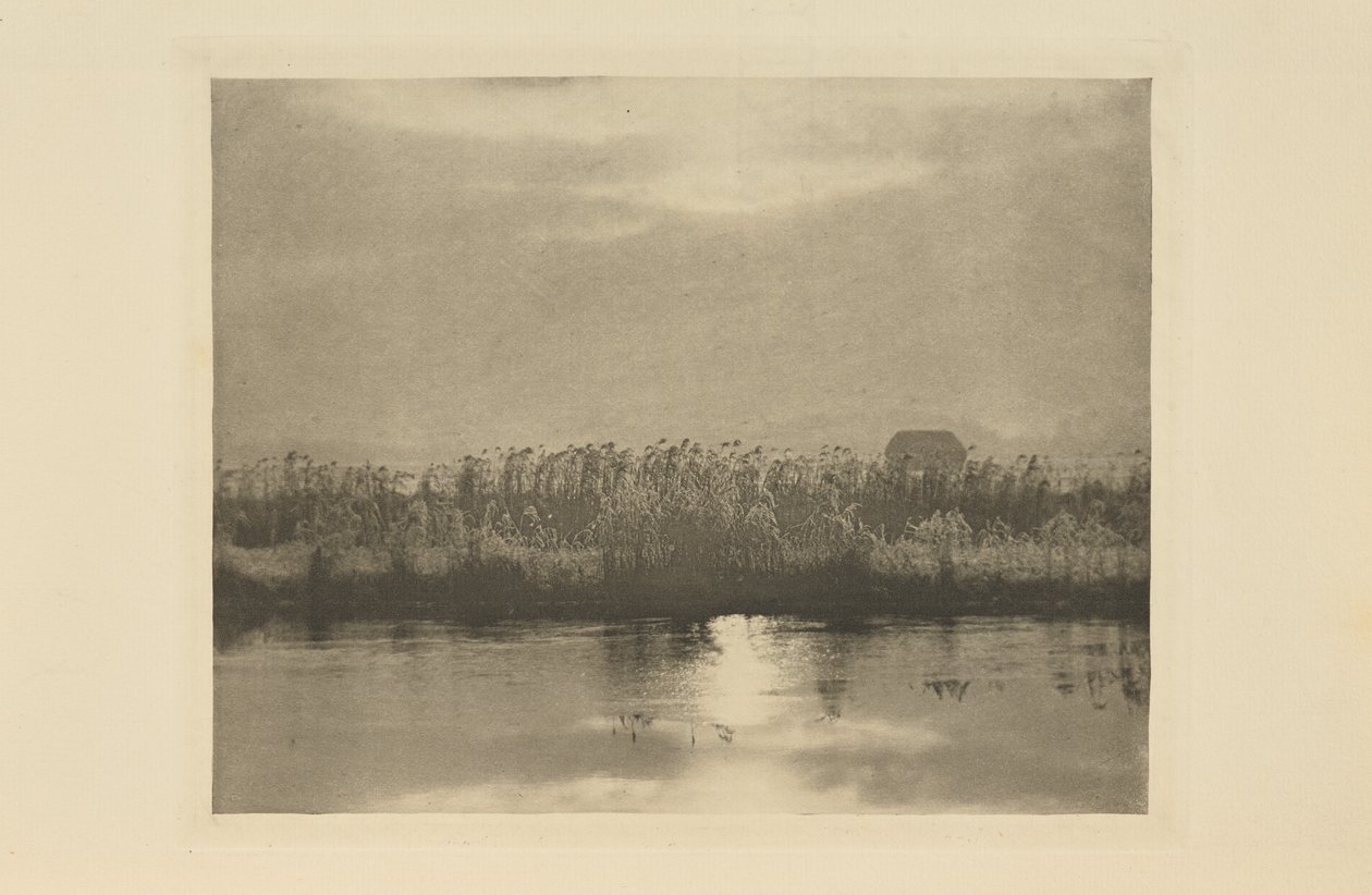 Dérkristályok alkotó: Peter Henry Emerson