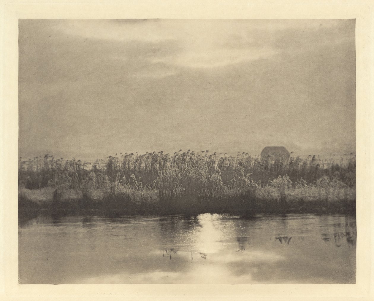 Rime Crystals,1895-ben vagy azelőtt (fotó) alkotó: Peter Henry Emerson