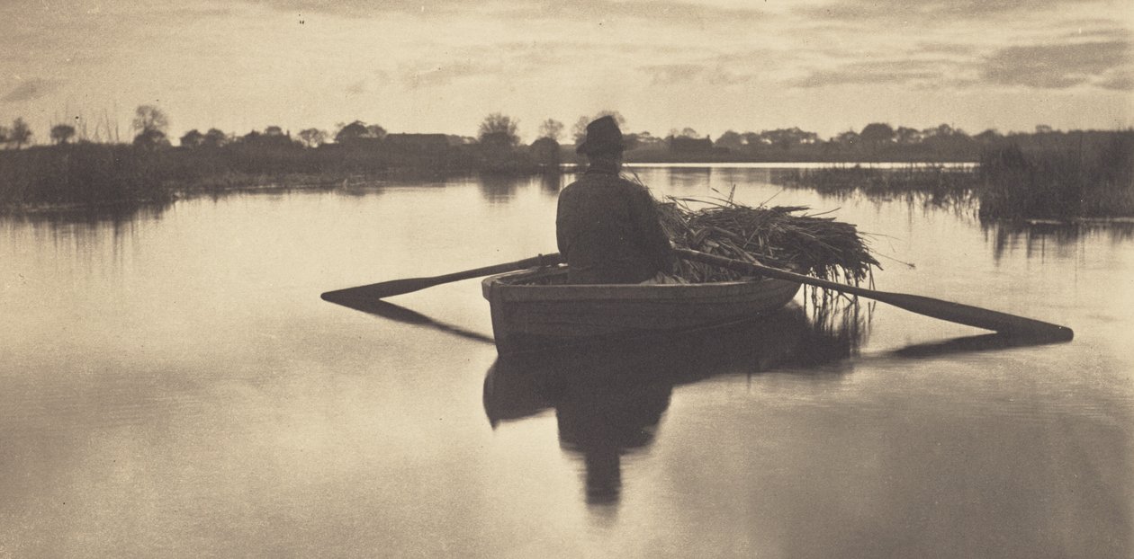 Hazafelé evezés kévékkel alkotó: Peter Henry Emerson