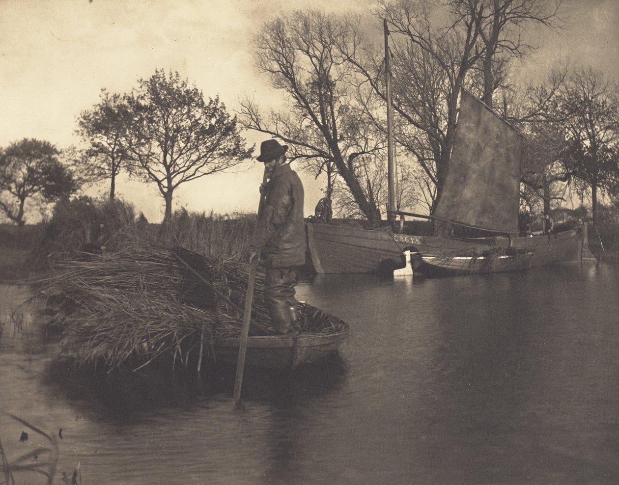 A gladonvágó visszatérése alkotó: Peter Henry Emerson