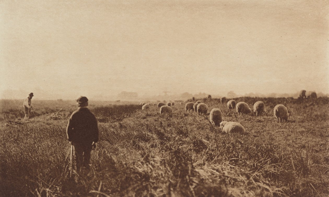 A mocsarak 1890-1891 júniusában, 1893-ban nyomtatták. alkotó: Peter Henry Emerson