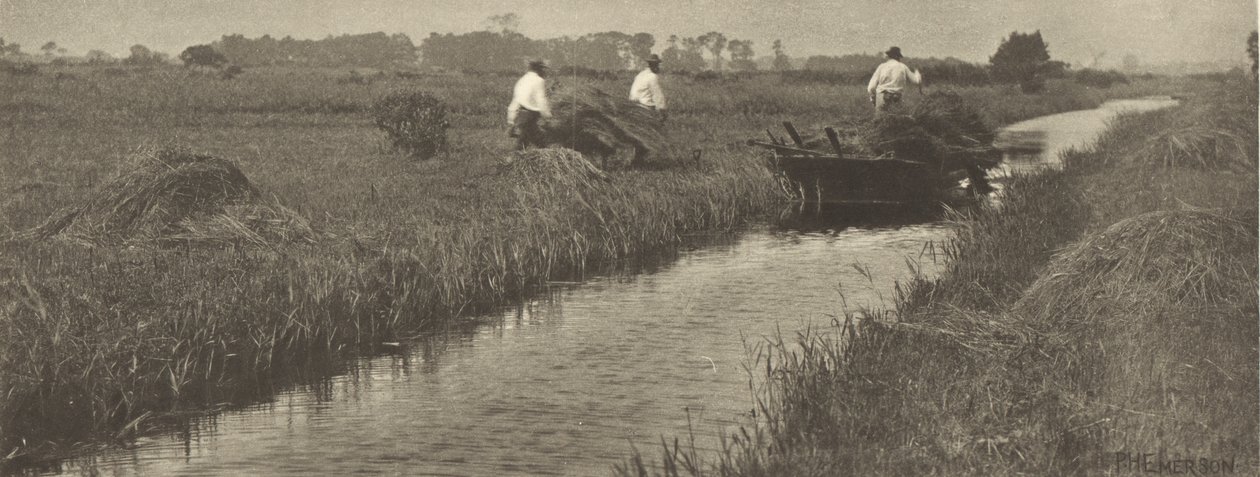 A sás betakarítása alkotó: Peter Henry Emerson