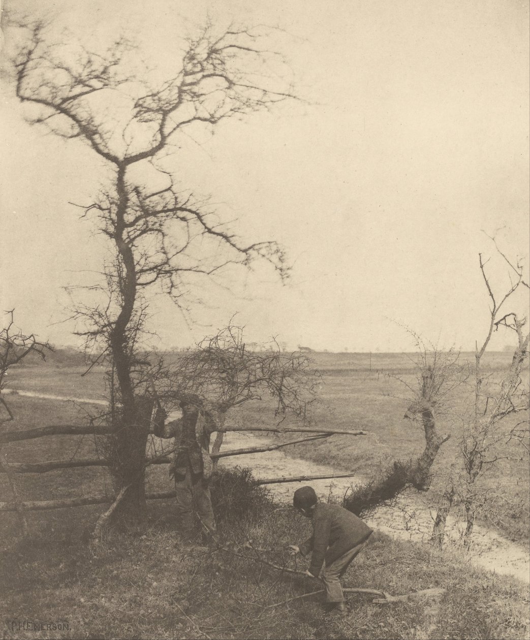 A gallyvágók alkotó: Peter Henry Emerson