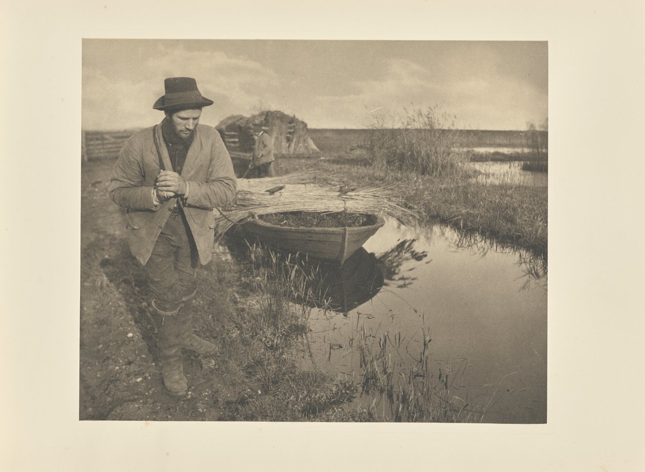 Nád vontatása alkotó: Peter Henry Emerson