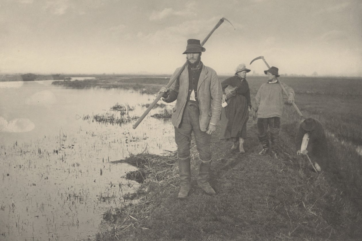 Hazatérés a mocsarakból alkotó: Peter Henry Emerson and T.F. Goodall