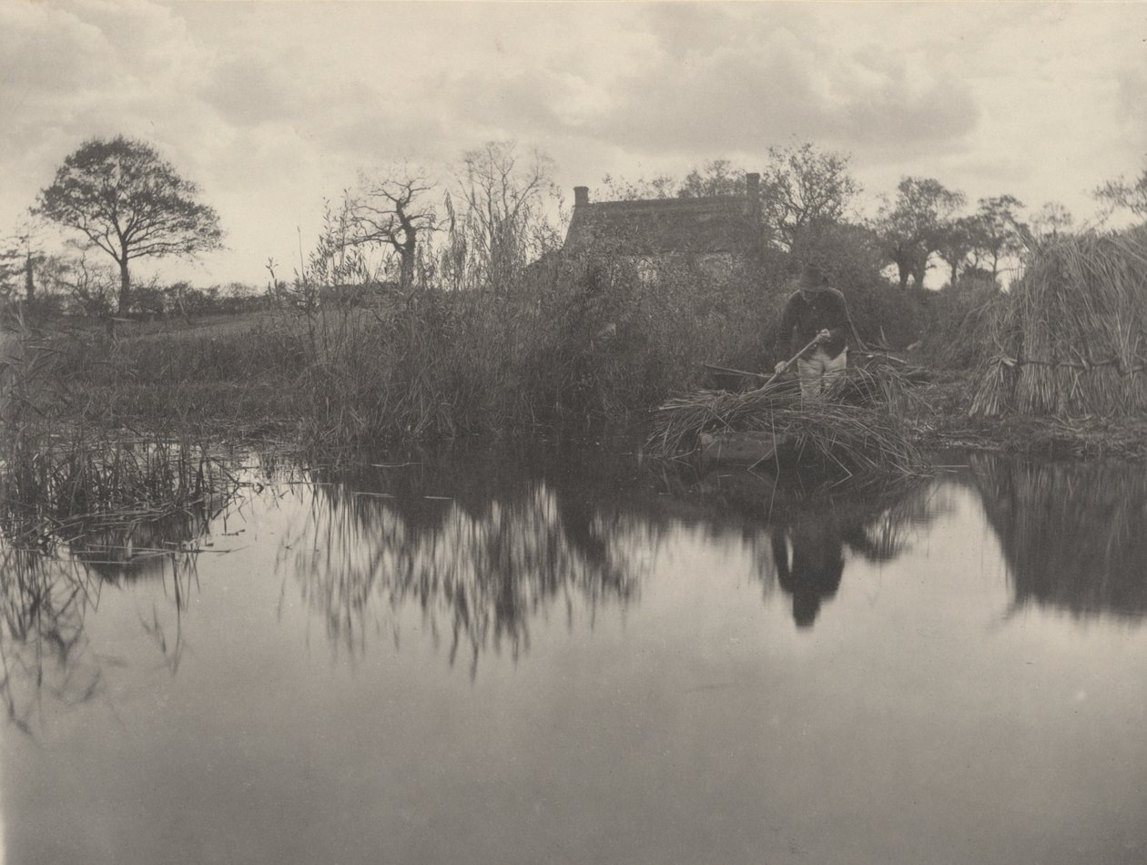 Kiemelve a Gladdont alkotó: Peter Henry Emerson and T.F. Goodall